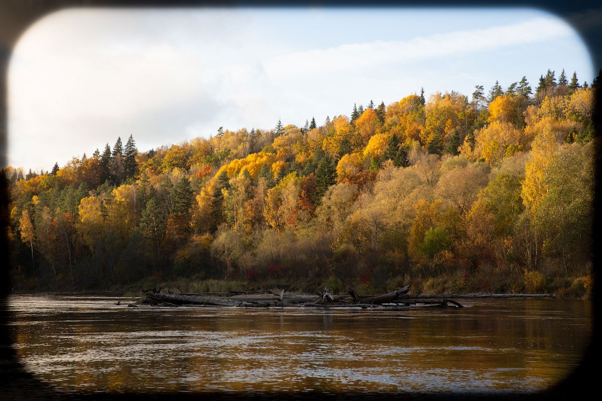 photograph of a riverside forest in the fall with an alternate vignette applied