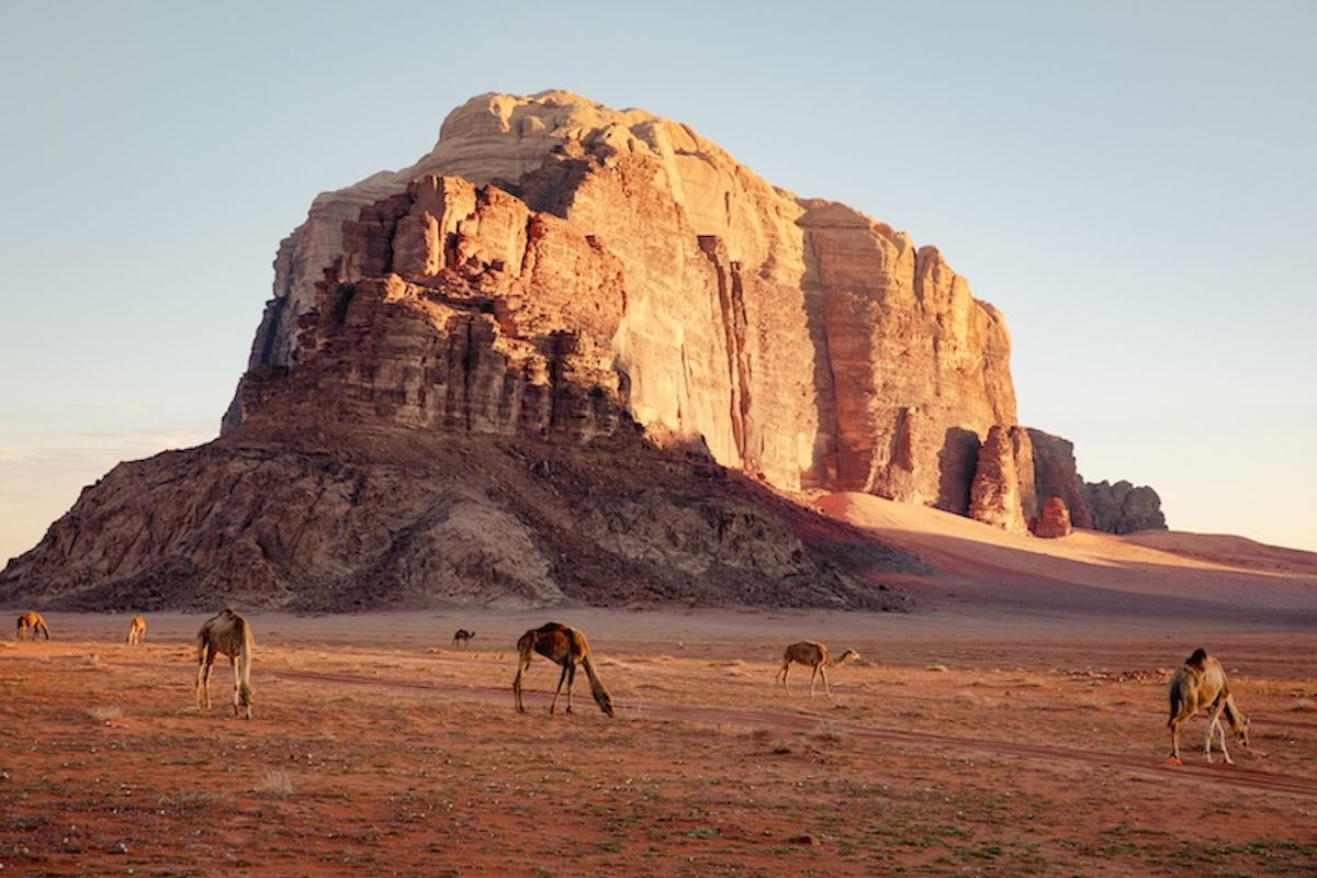 photograph of a mountain with camels in the foreground with a Lightroom preset applied