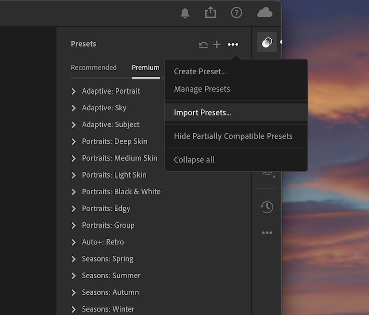 screenshot of lightroom cc import preset button