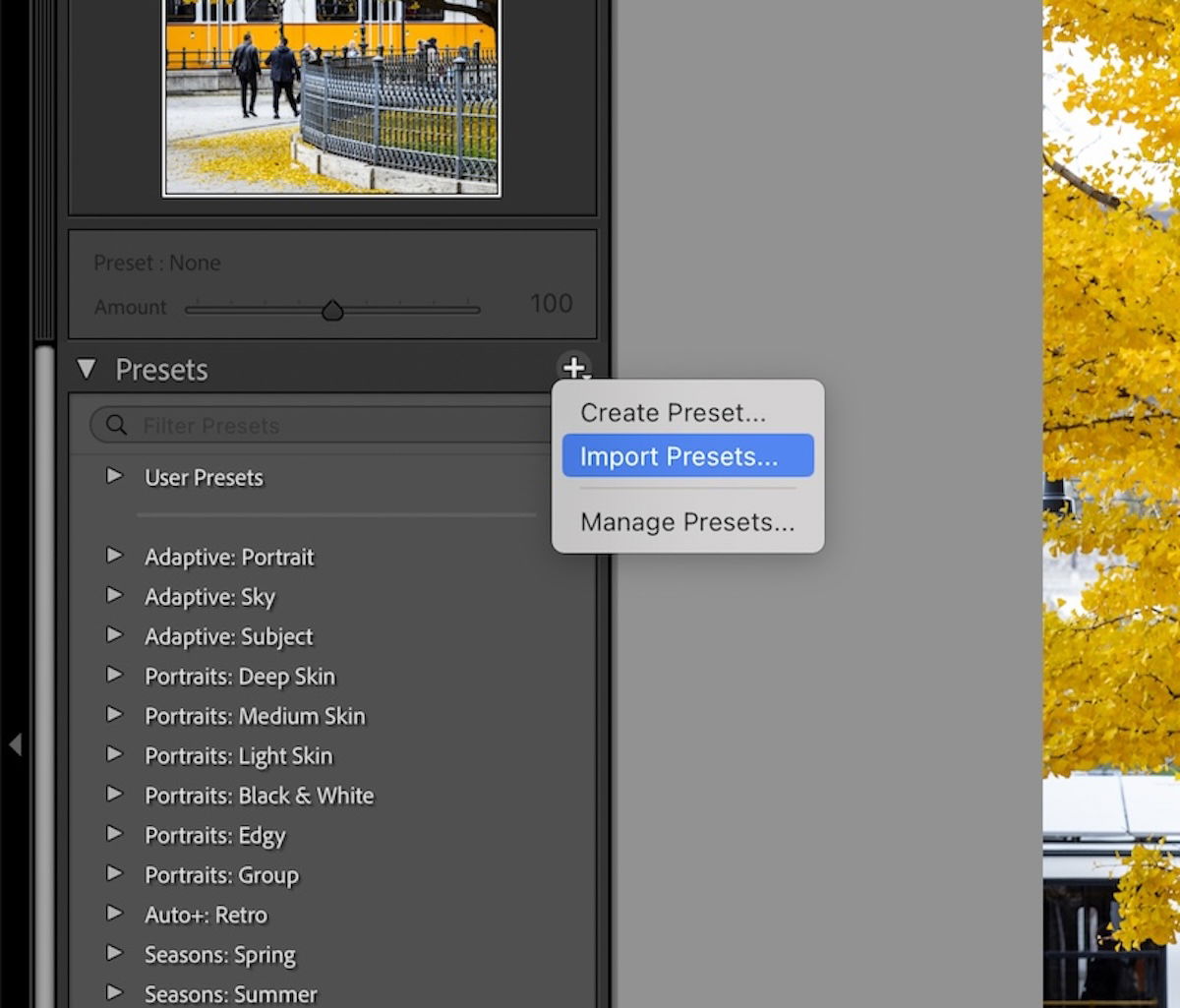 screenshot of lightroom classic import preset button