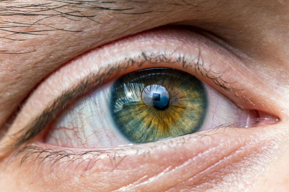 Close-up of an eye taken with macro photography gear