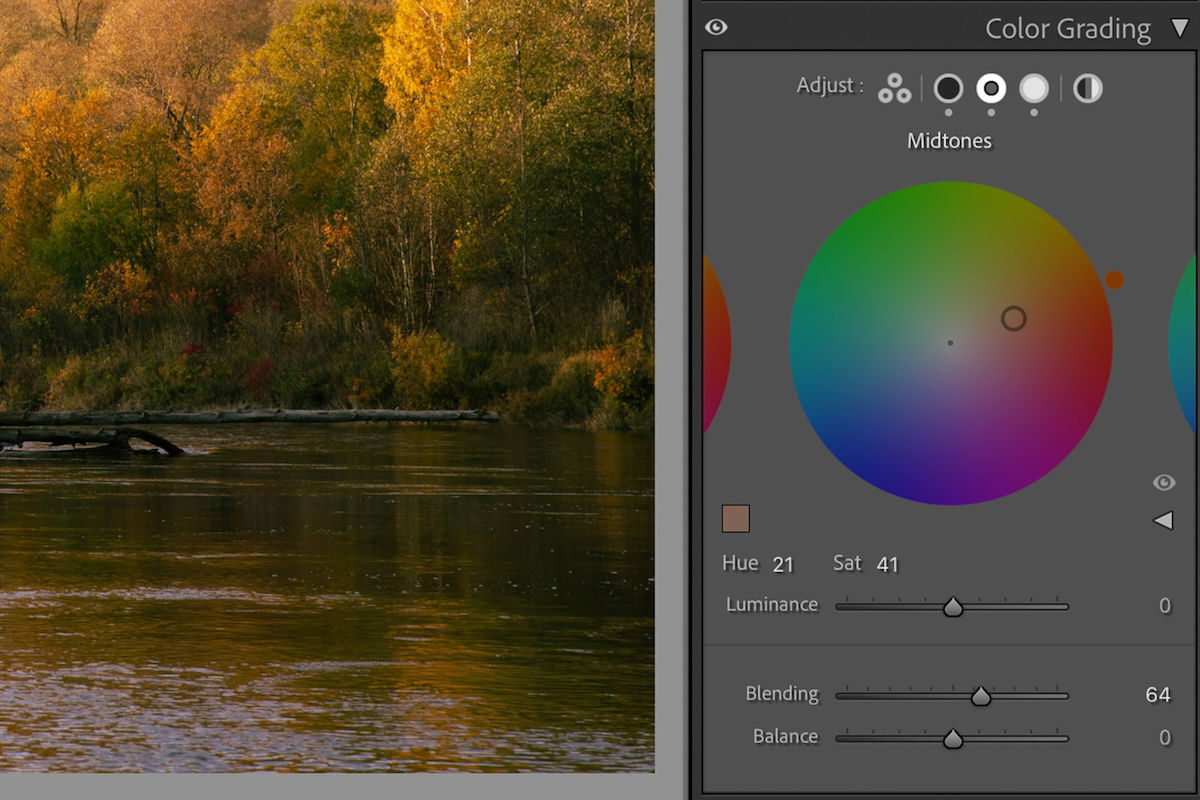 screenshot of a single color spectrum in Lightroom color grading