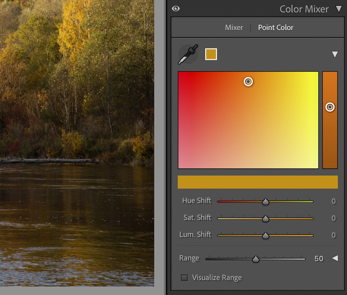 screenshot of Lightroom Classic color panel