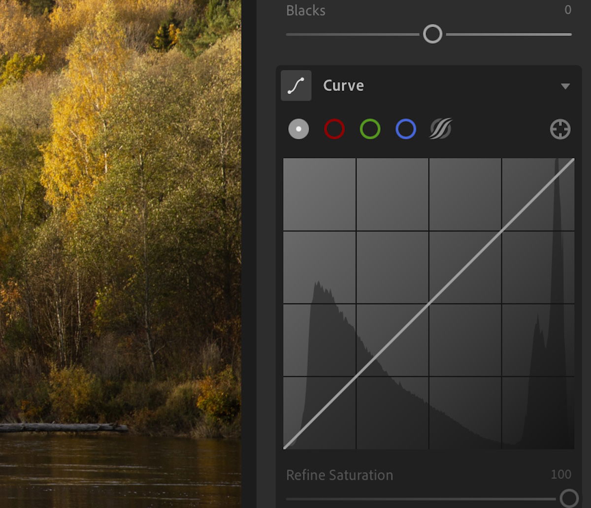 Screenshot of a tone curve in Lightroom