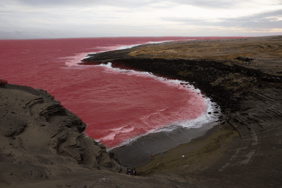 photograph of a cove from above with the sea masked