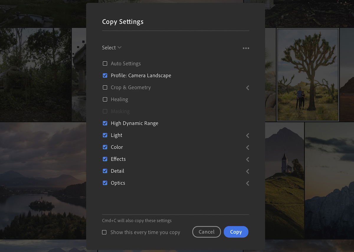 screenshot of lightroom showing the copy edit settings box