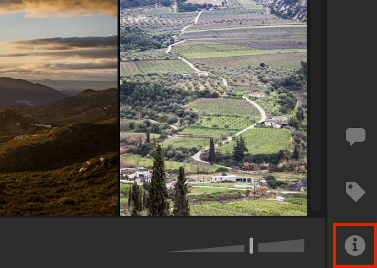 screenshot of lightroom crop highlighting the metadata section