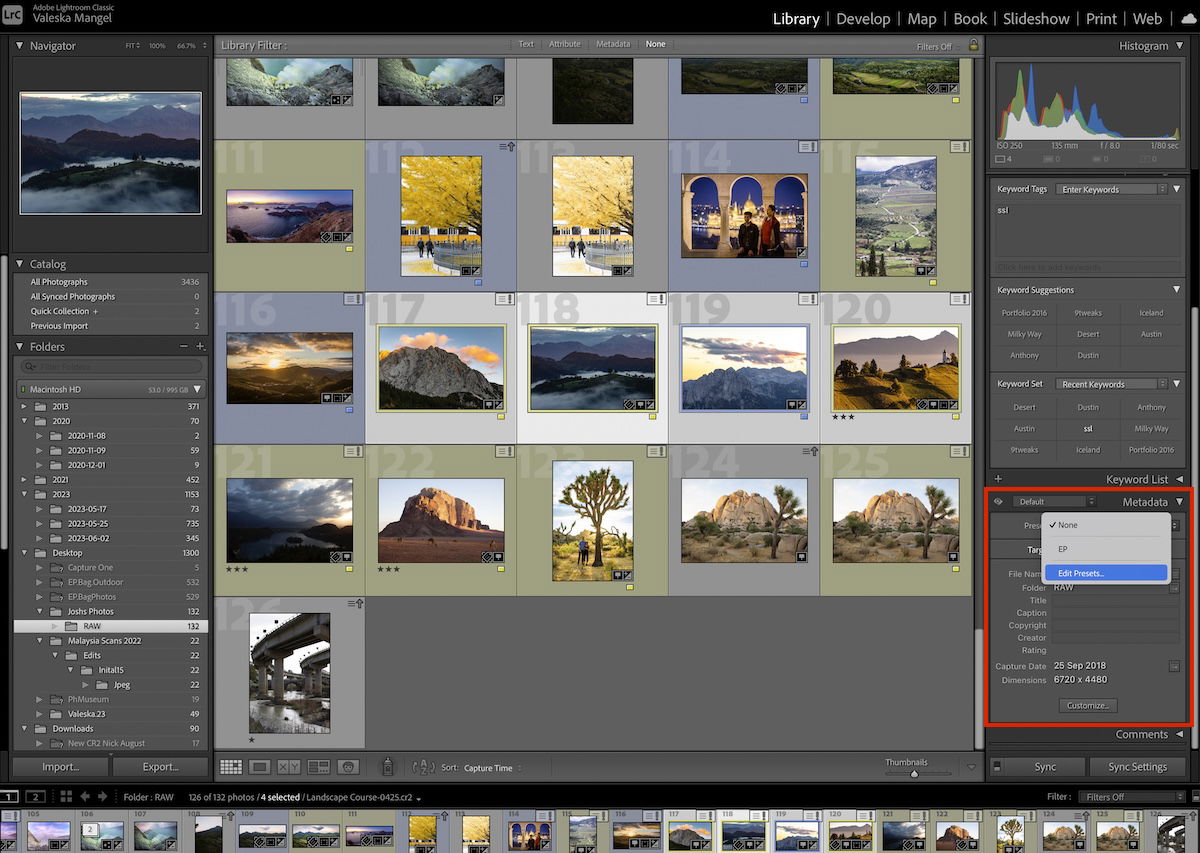 screenshot of lightroom classic crop highlighting the metadata section