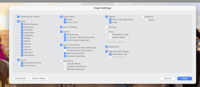 screenshot of settings you can copy in adobe lightroom