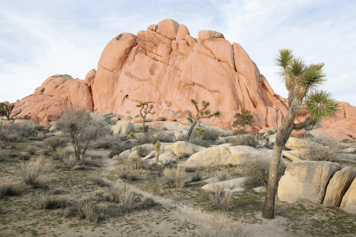 photograph of a rocky mountain with a tree in the foreground. The mountain has been masked in lightroom