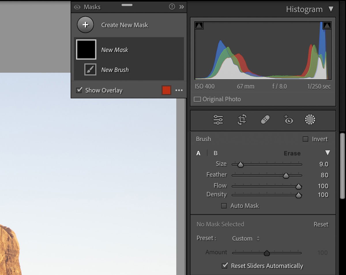 screenshot of lightroom classic brush tool section