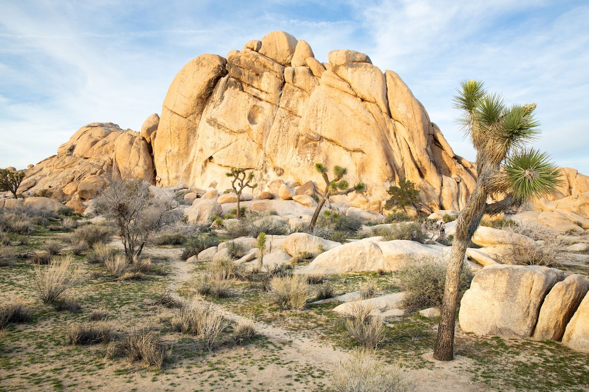 photograph of a rocky mountain with a tree in the foreground edited in lightroom with brush tool