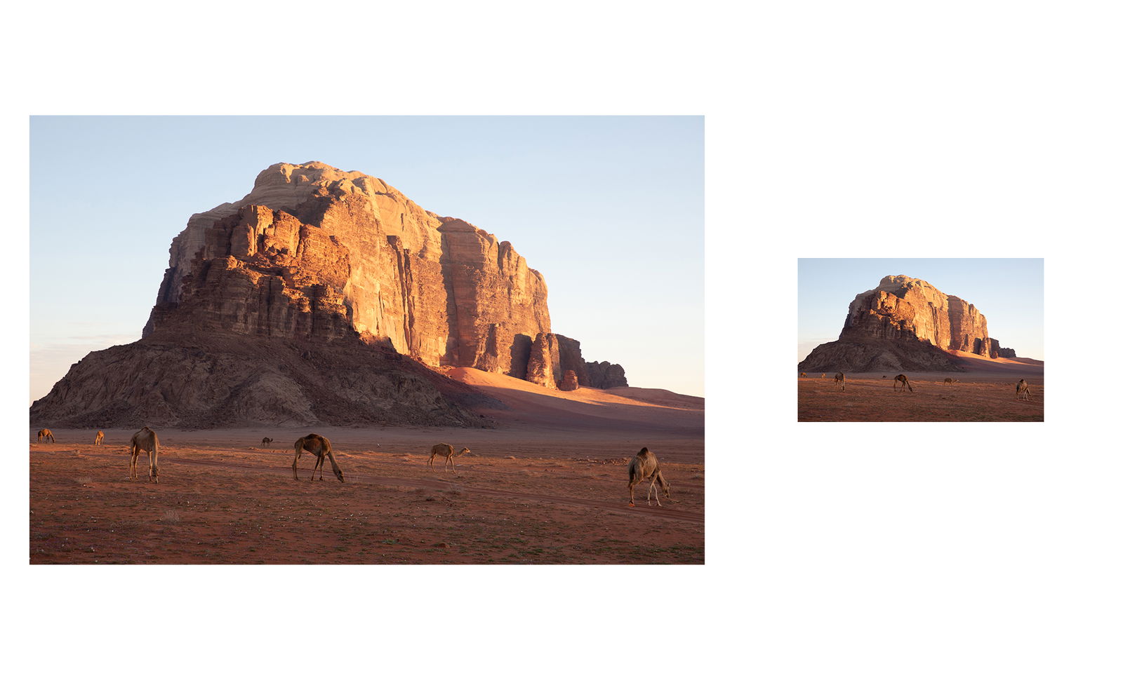 two photographs on a blank document that are different sizes