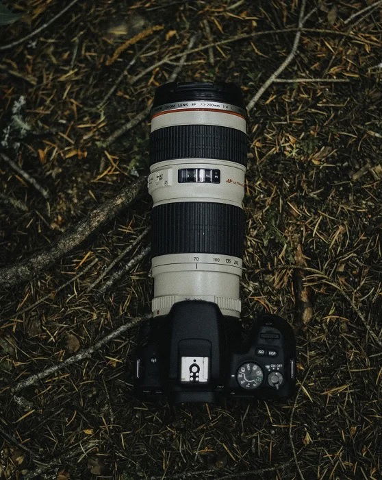 Camera with teleconverter and telephoto lens on woodland ground