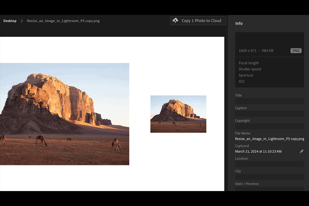 screenshot of Adobe Lightroom CC info box including image dimensions