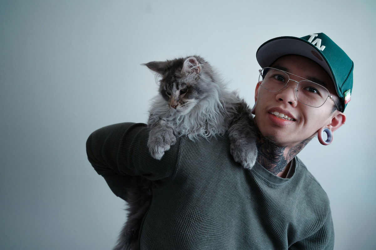 A cat posing on an owner's back as an example of pet photography