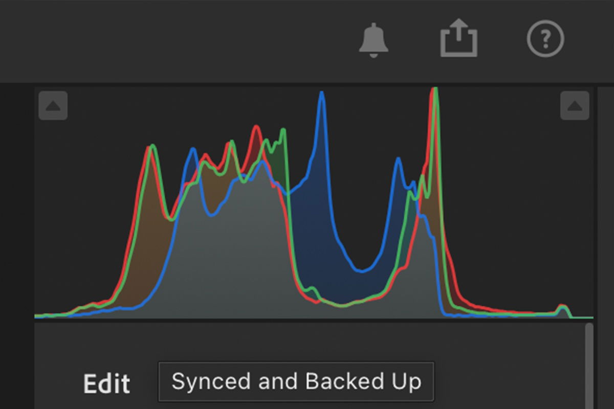 screenshot of lightroom histogram