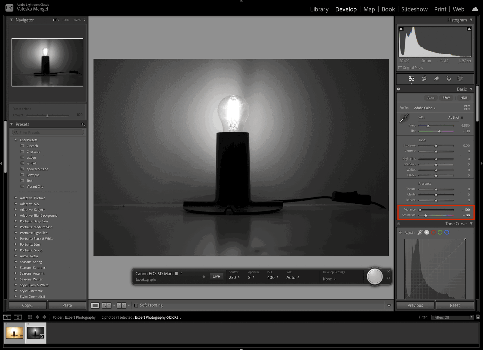 screenshot of lightroom tethered capture adjusting an image during shoot