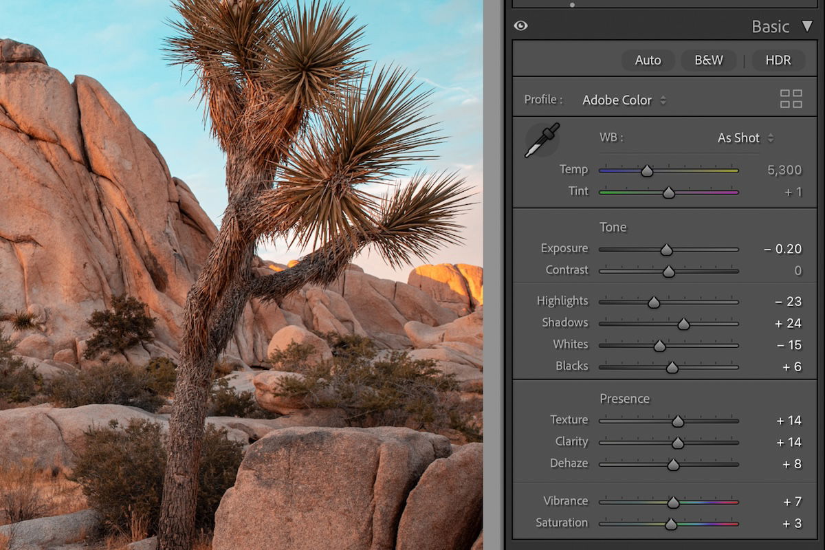 screenshot of lightroom interface