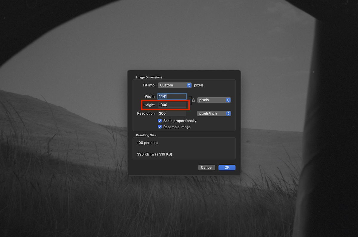 screenshot of photoshop image processor