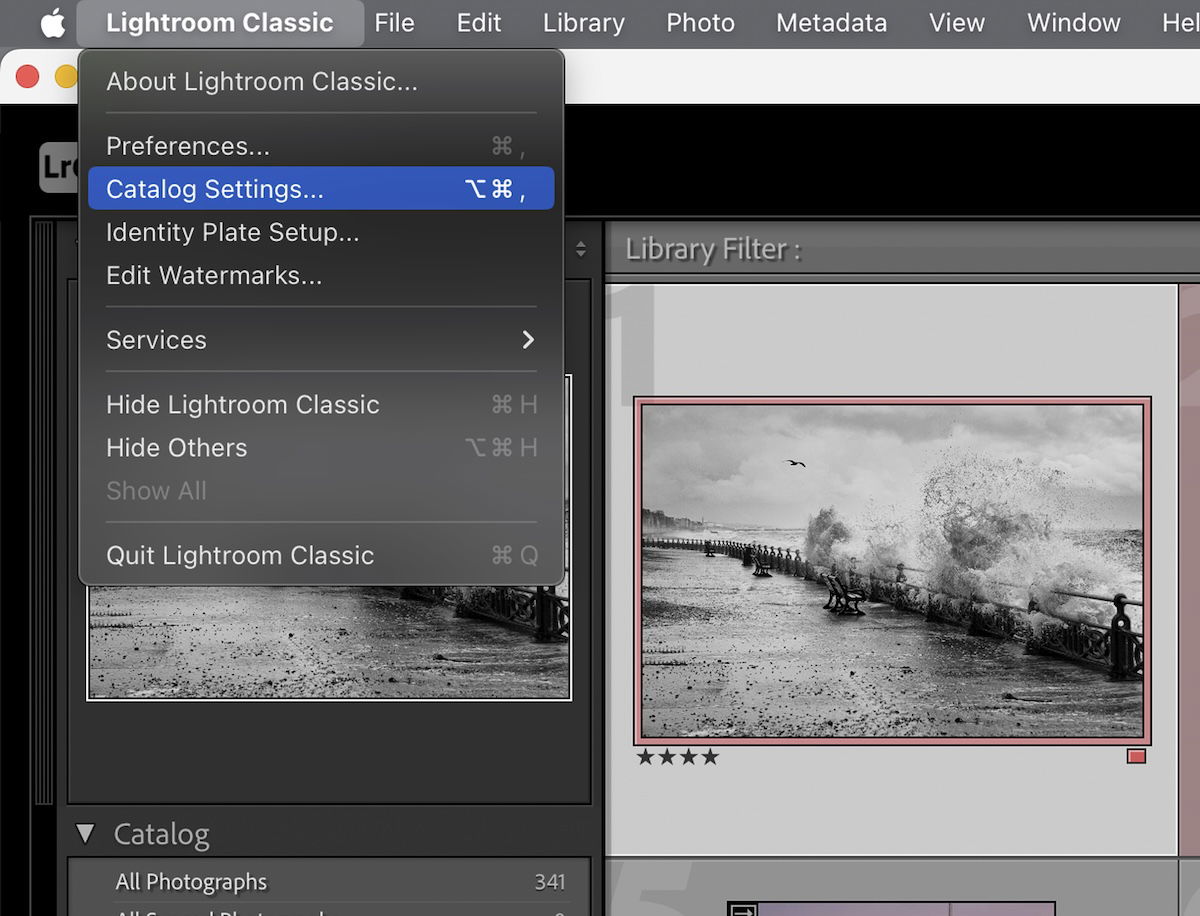 screenshot of lightroom file settings