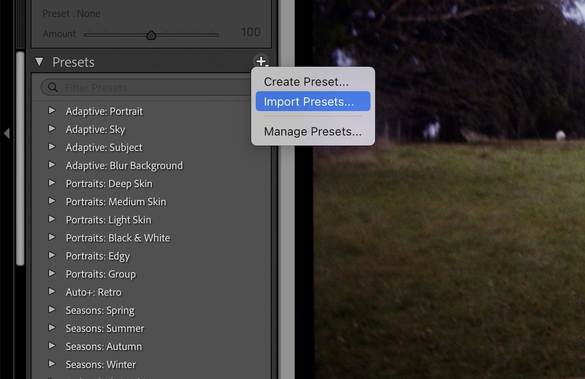 screenshot of lightroom preset import