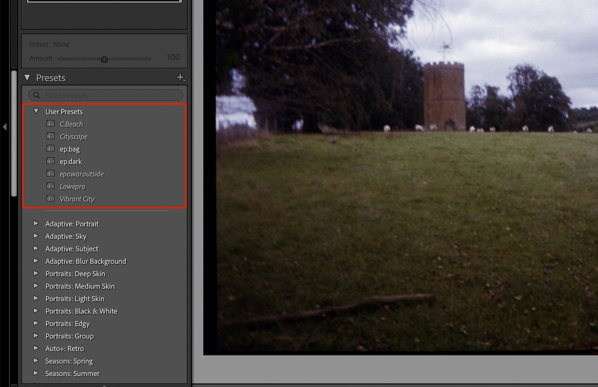 screenshot of lightroom preset section