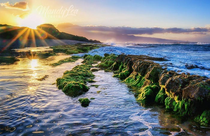 Coastal landscape at sunset