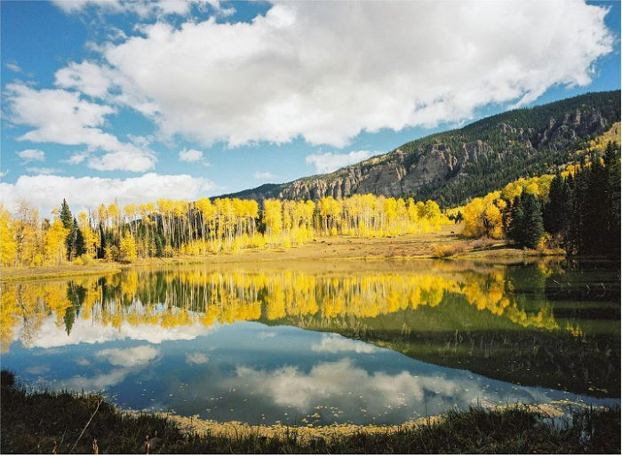 Lake with yellow trees on the far side