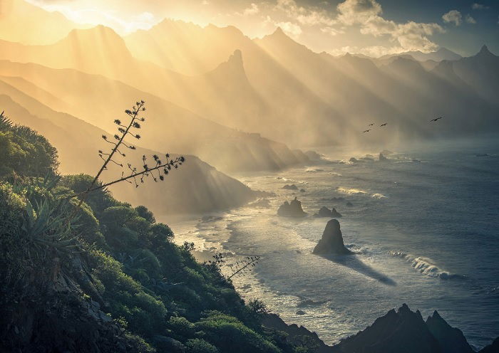 Dramatic coastal landscape with sun over the mountains