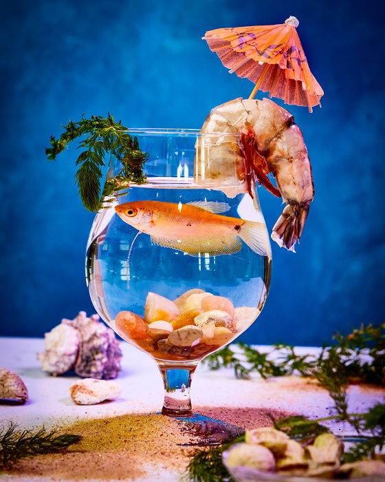 Fish in a cocktail glass