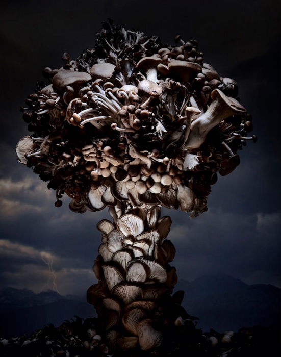 Mushroom cloud made out of mushrooms