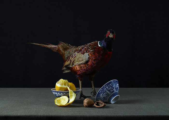 Pheasant, half peeled lemon and a walnut