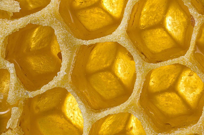 Closeup of honeycomb