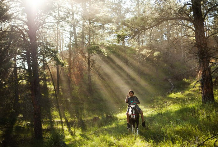 Young horseback rider riding through wood