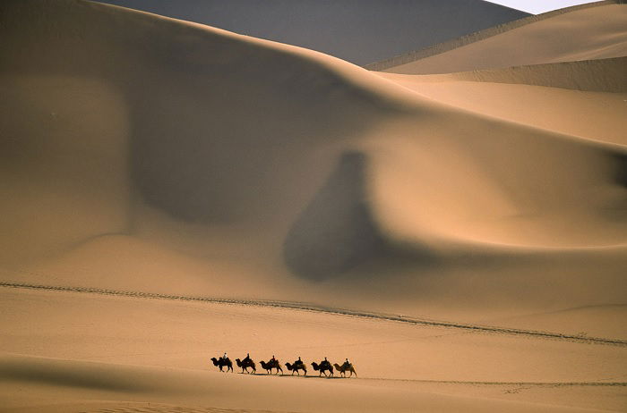 Camel train crossing the desert