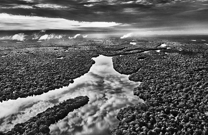 Ariel shot of river cutting through Brazilian jungle