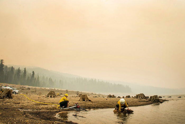 Firemen in the aftermath of a forest fire