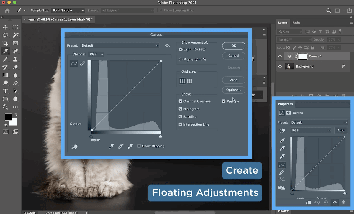 screenshot showing how to use floating adjustments in photoshop